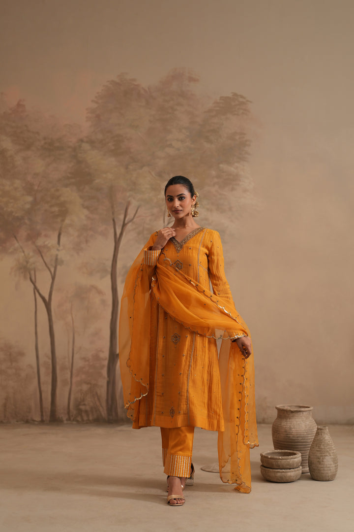 Earthy Yellow Qala Medha Aline Set